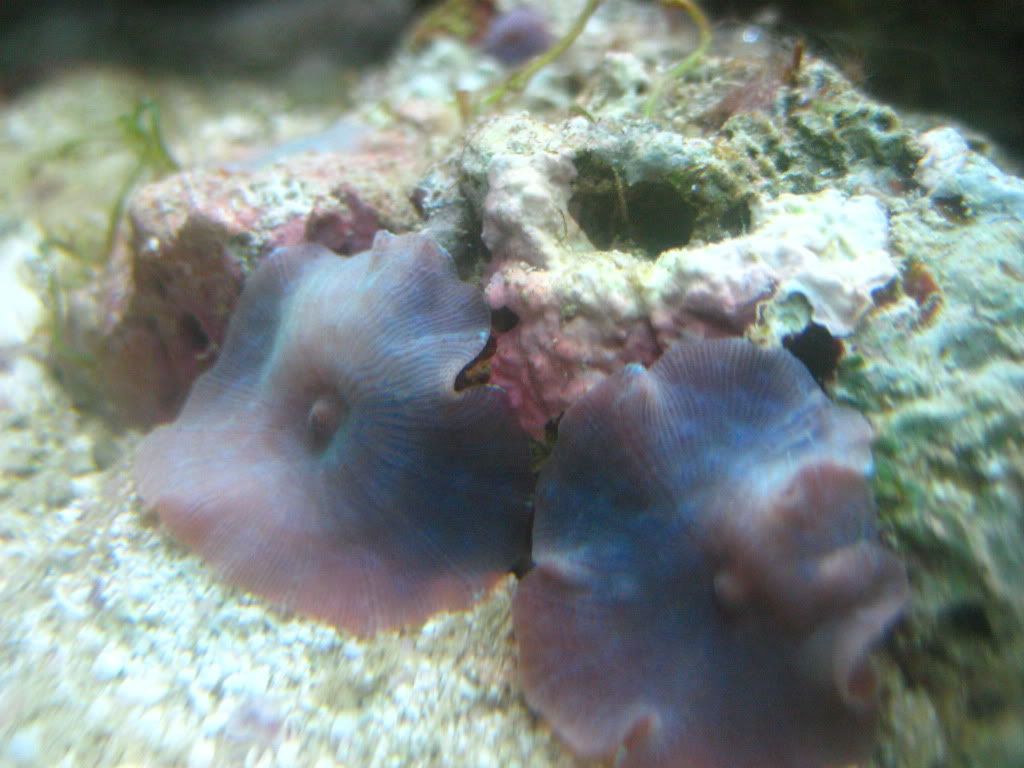 IMG_2855.jpg