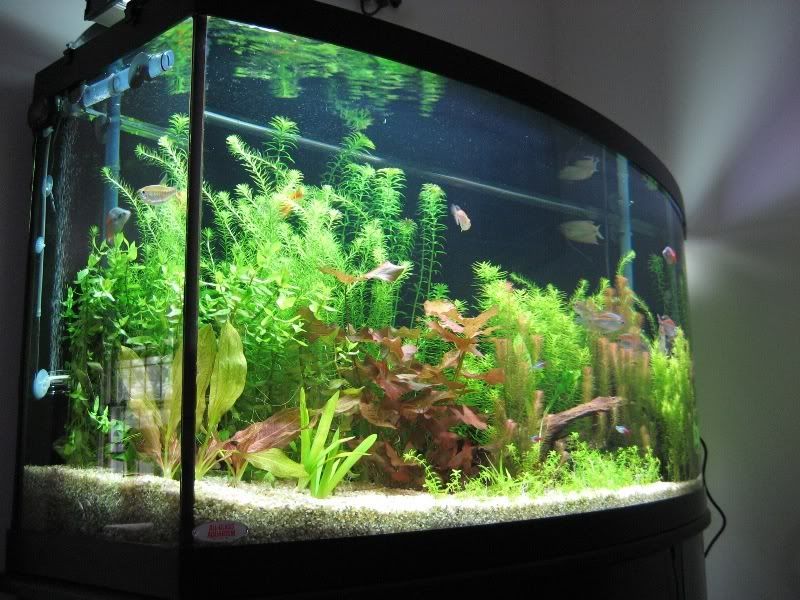Fulltank032407.jpg
