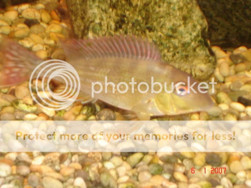 DSC01005.jpg