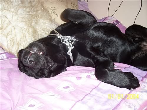 20060601tiredry2.jpg