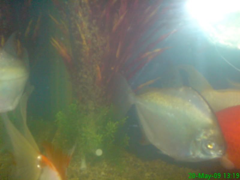 DSC00301.jpg