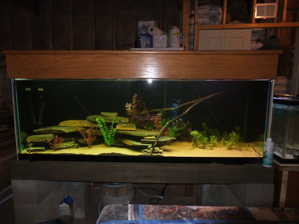 DSCF7731_zpsb4d5d821.jpg