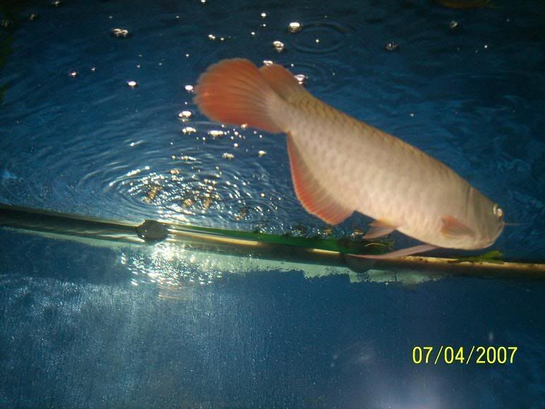 o13.jpg