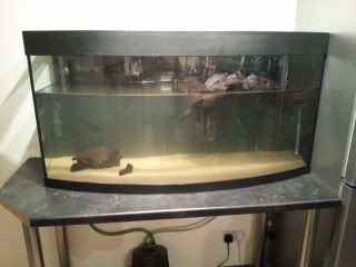 20120930_212629-1.jpg