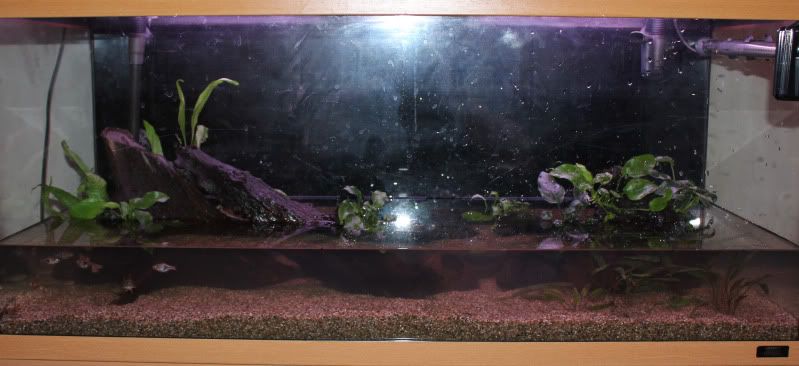 3newscape.jpg