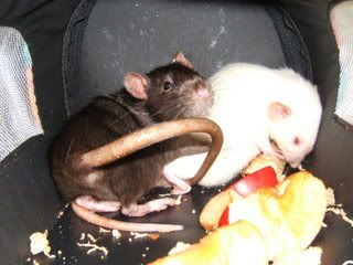 DSCF2840.jpg