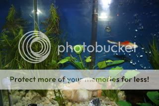 IMG_2757.jpg