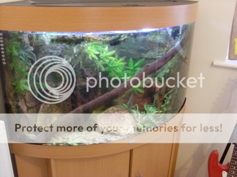 TankPic10.jpg