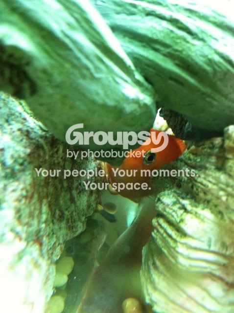 get-attachmentaspx-1.jpg