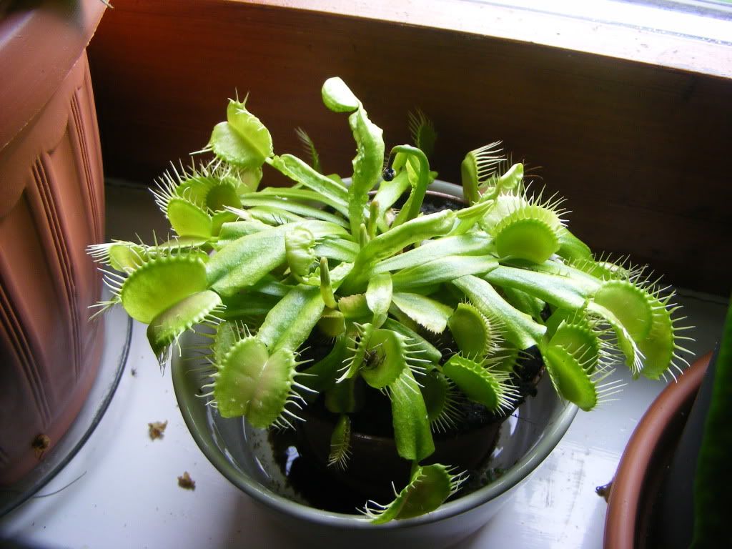 DSCF3209.jpg