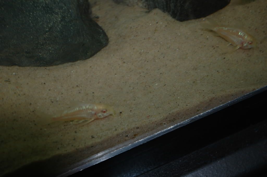 DSC_4868.jpg