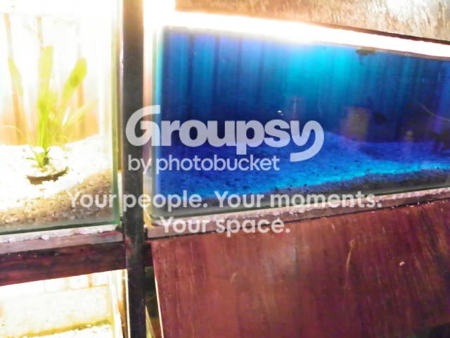 100_2054.jpg
