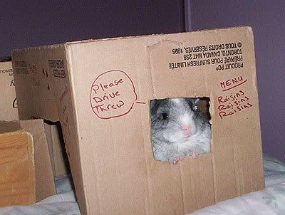 e.jpg