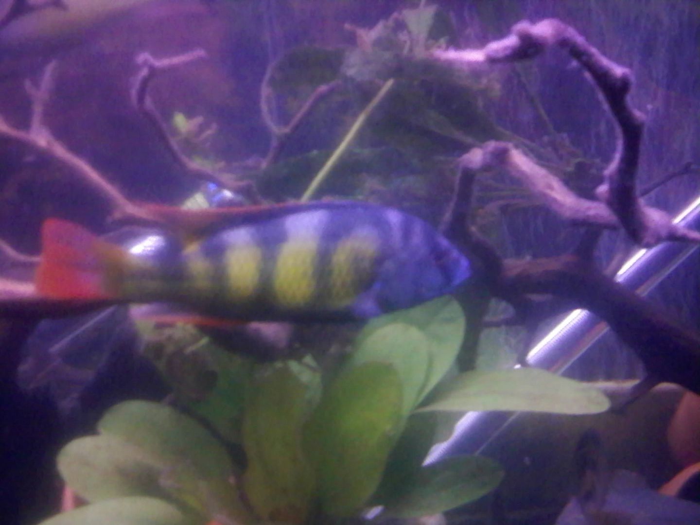 0520090110.jpg