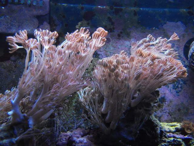 DSCF3445.jpg