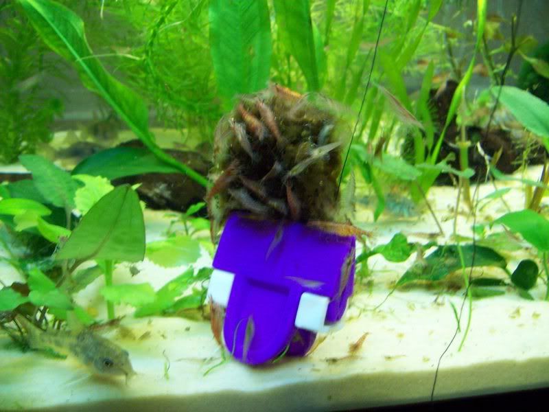 100_0220.jpg