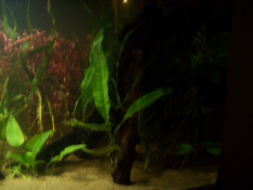 101_4985.jpg