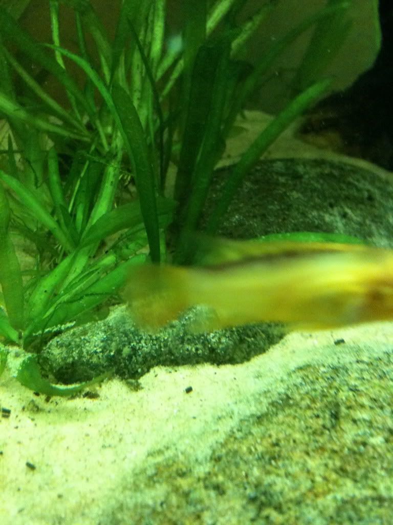 IMG_0347.jpg