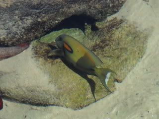 SDC12227.jpg