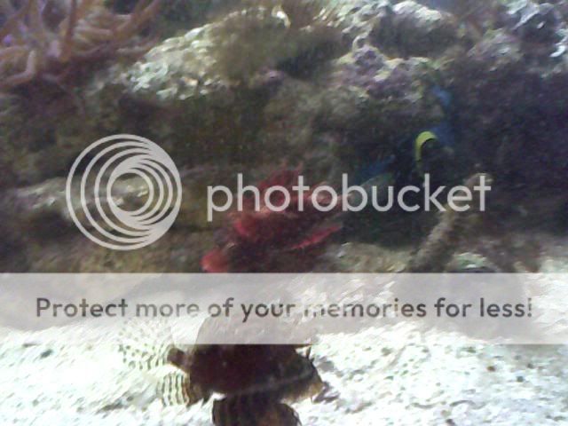 Image_00027.jpg