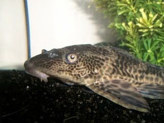 100_0158.jpg