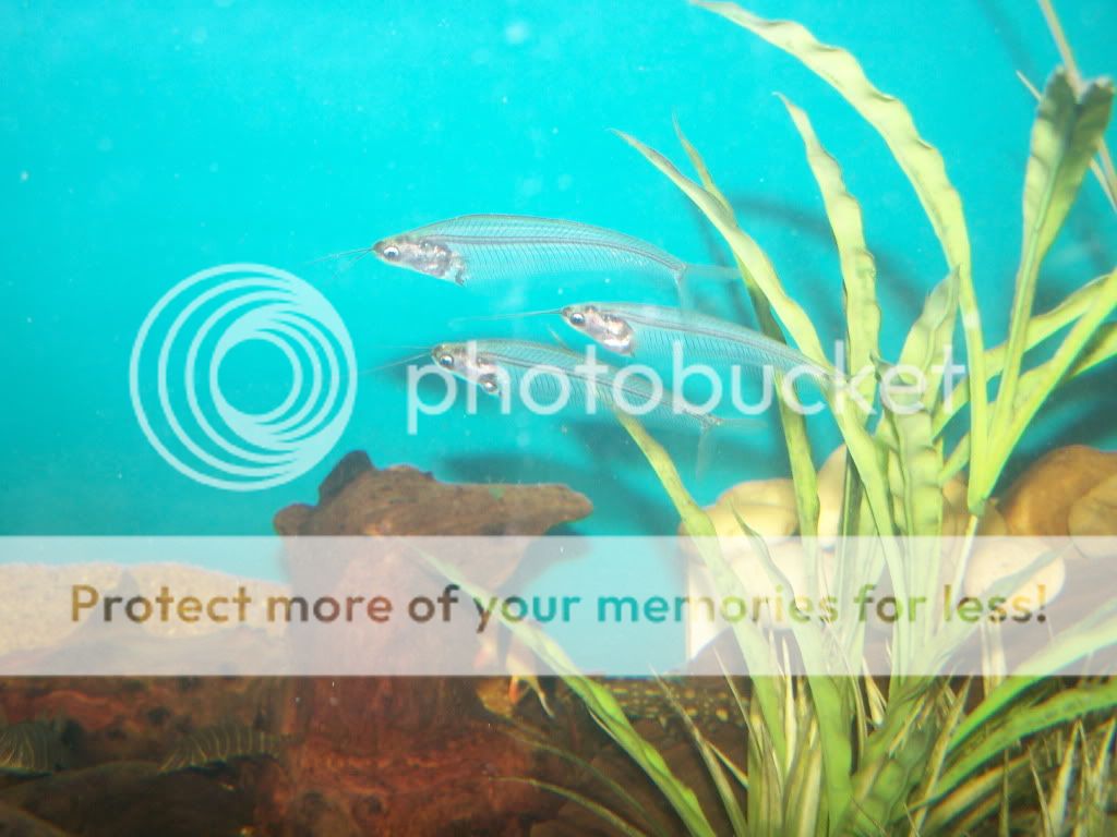 100_6242.jpg