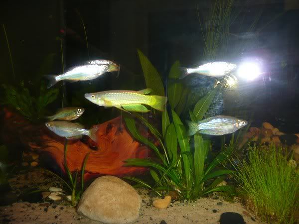 5-4-15.jpg
