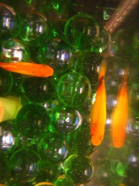 Picture005.jpg