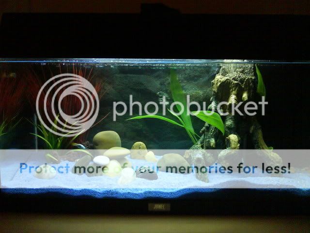 DSC00615-2.jpg