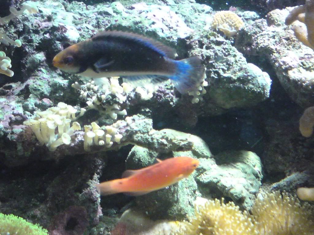 DSC00024-1.jpg