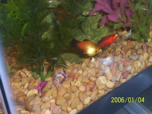 000_0722.jpg