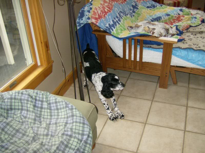 pepper003.jpg