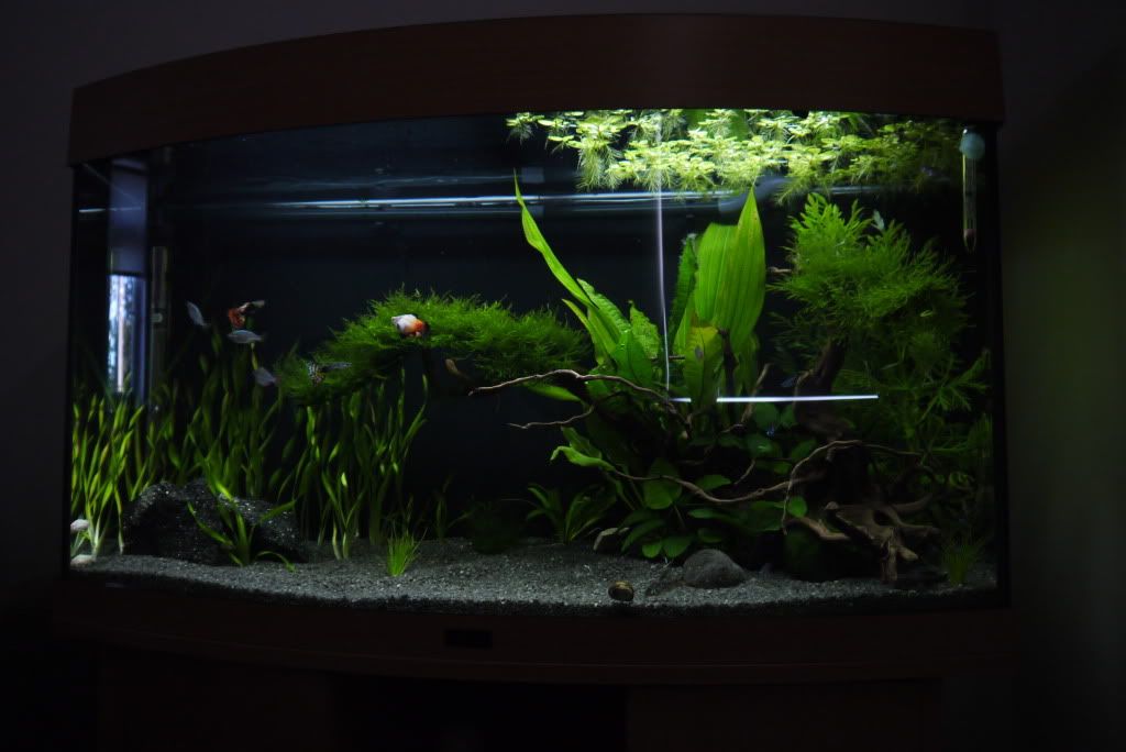 P1000365.jpg