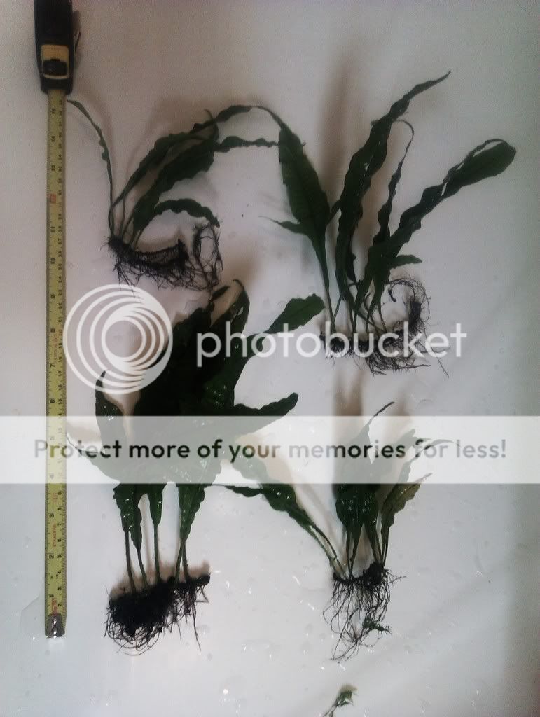 IMAG0576.jpg
