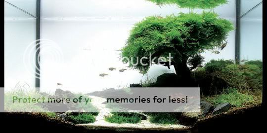 2-1-aquarium2.jpg