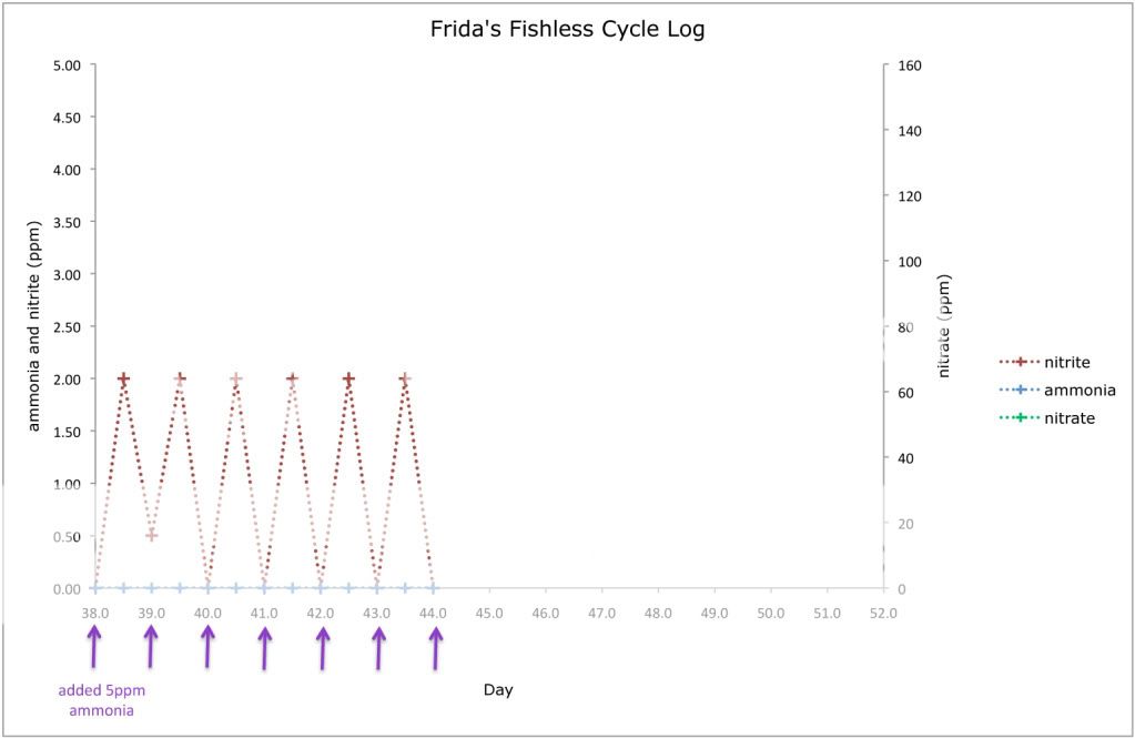 4graph.jpg