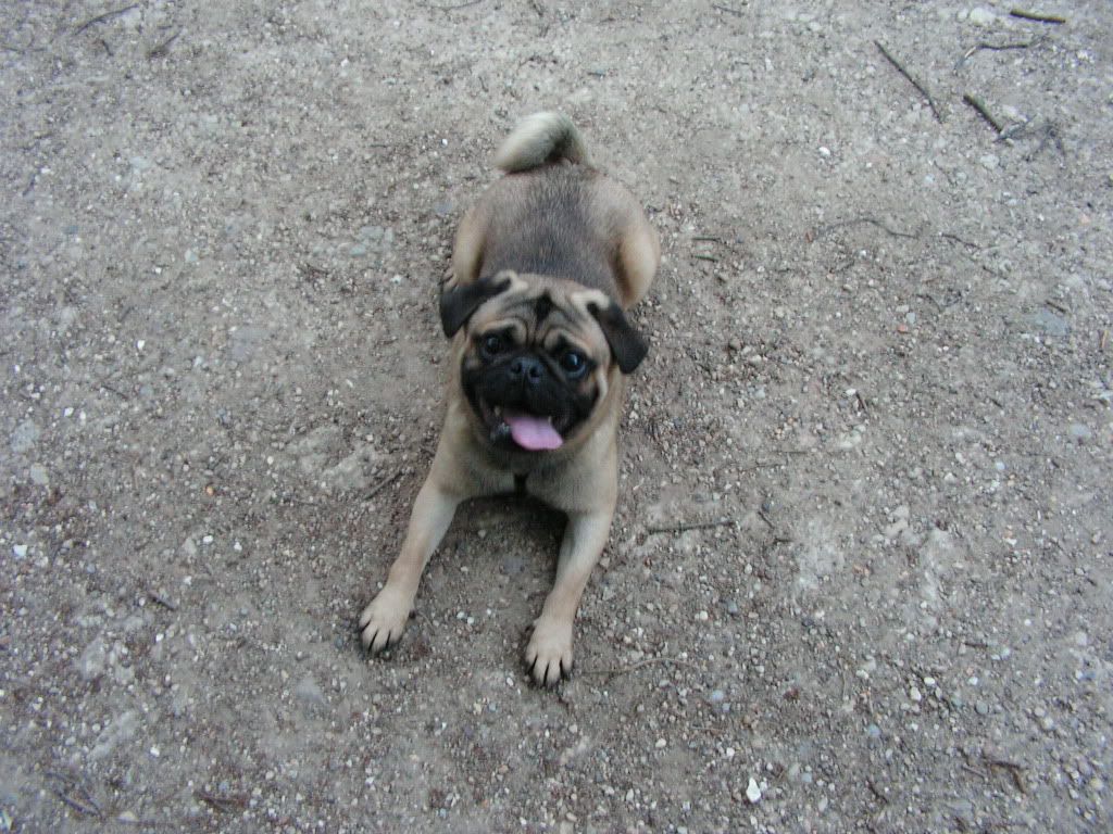 PICT0906.jpg