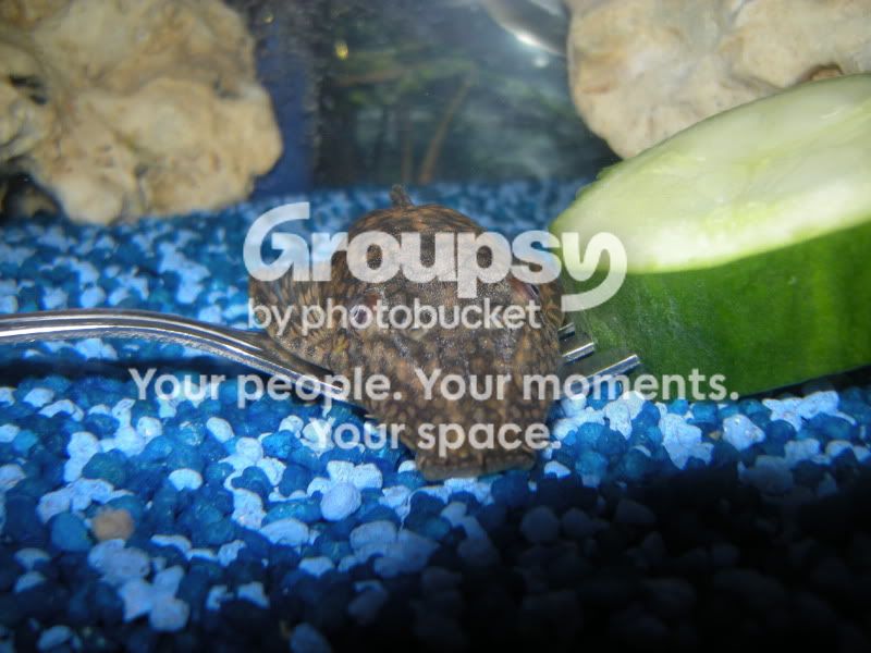 DSCN2890.jpg