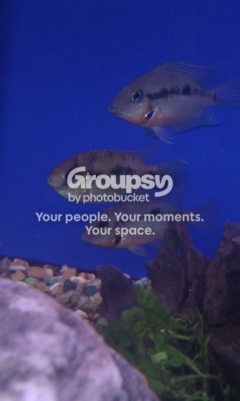 IMAG0443.jpg