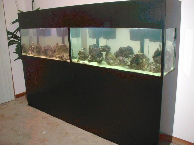P1010025.jpg