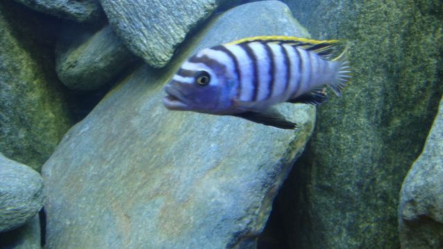 DSC02981.jpg