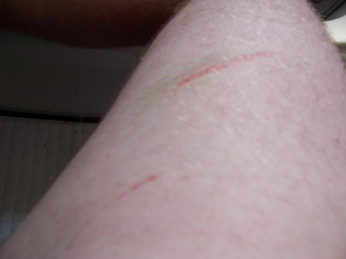 100_3736.jpg