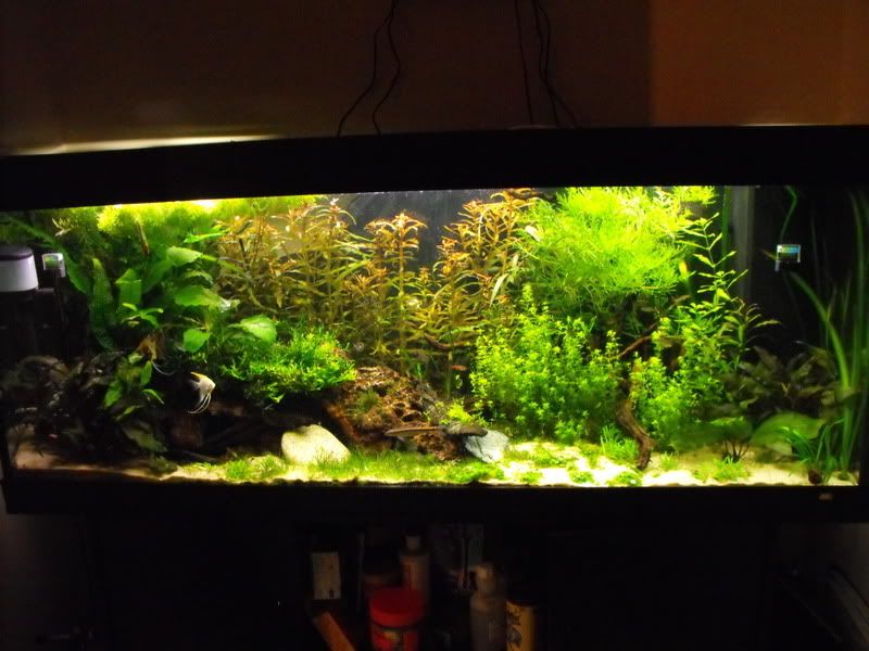 DSCF0103.jpg