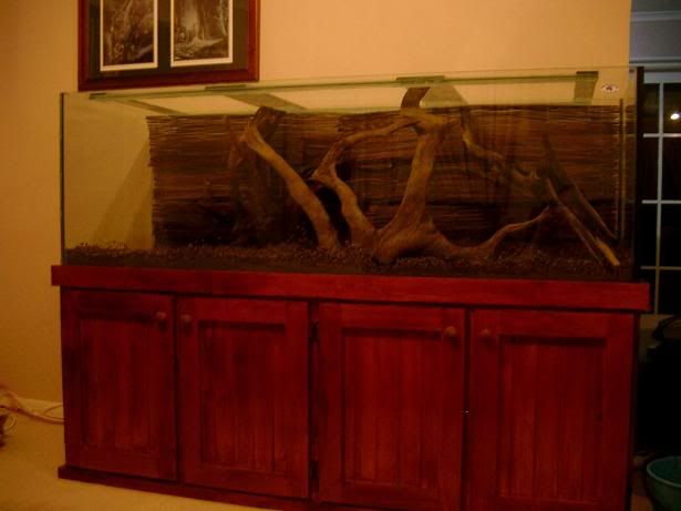 newtank2.jpg