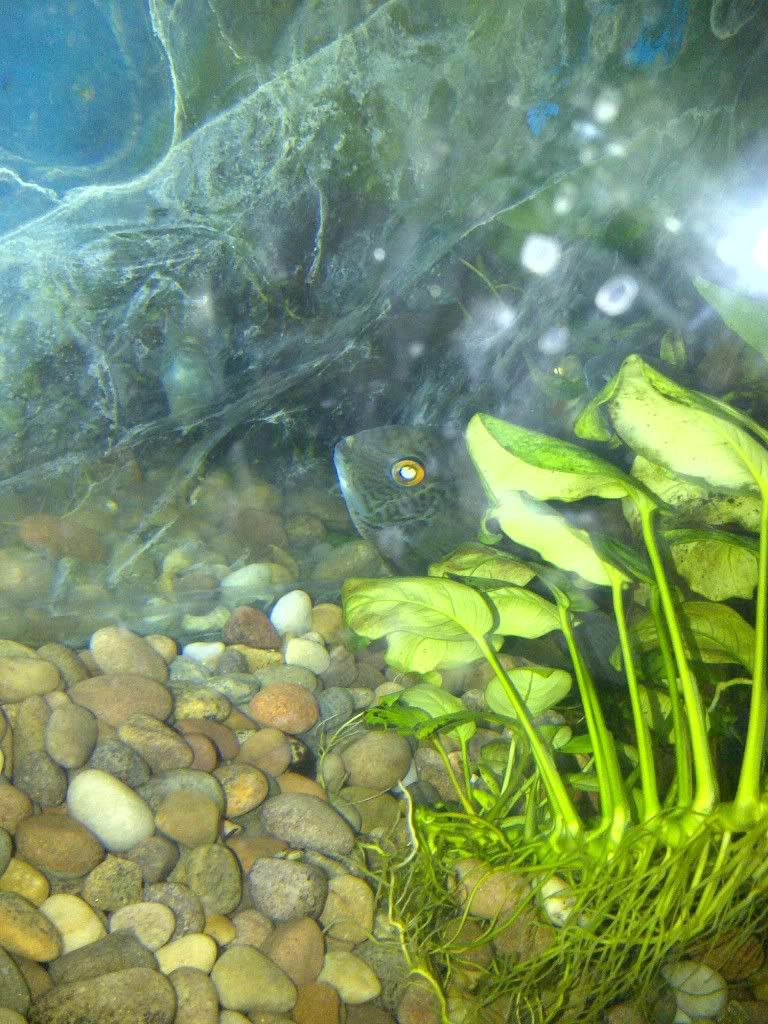 IMG-20120613-00094.jpg