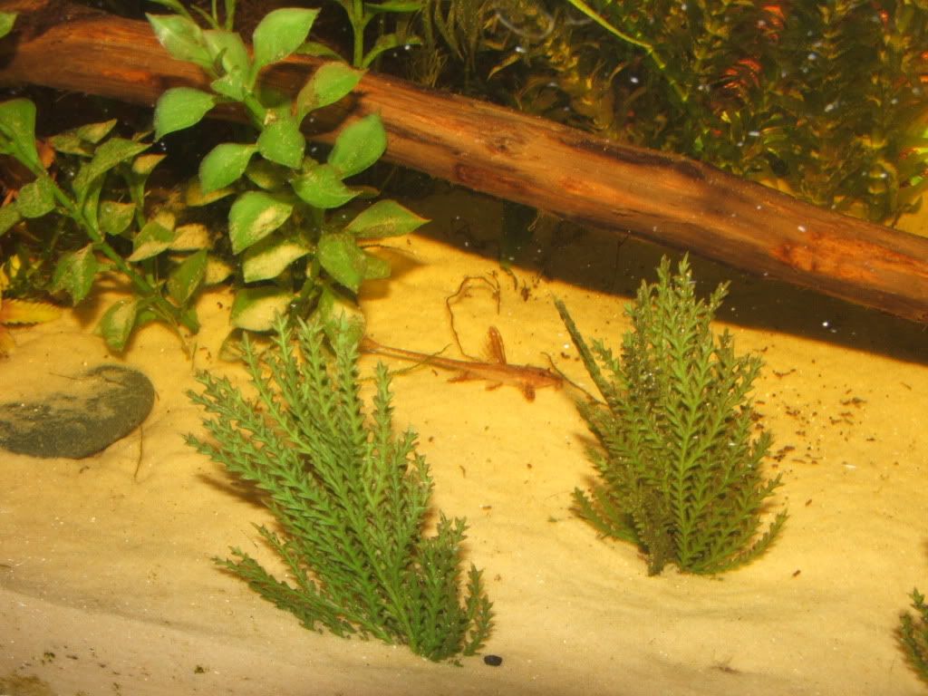 021-3.jpg