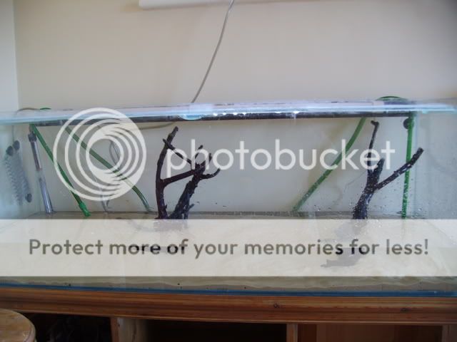PICT0499.jpg