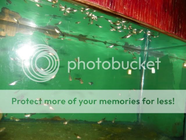 100_1517.jpg