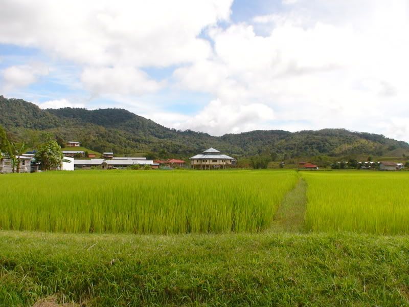 DSC01337.jpg