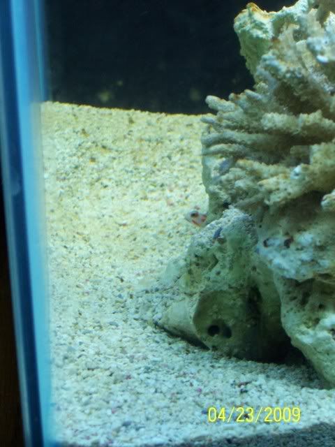 100_5465.jpg